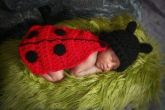 Conjunto Joaninha